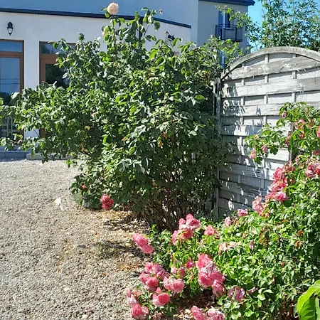 Sunrise Władysławowo