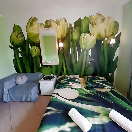 Oda ve Kahvaltı Sunrise