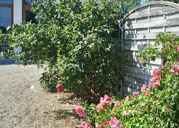 Sunrise Władysławowo